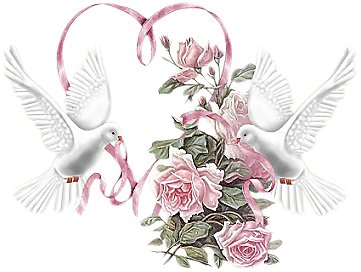 любовь и голуби - голуби, любовь, роза, сердце, птицы, свадьба, розовые цветы, пара, розы - оригинал