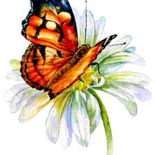 Схема вышивки «бабочка на ромашке»