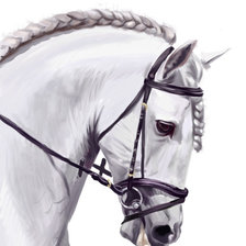 Схема вышивки «белый конь 30»
