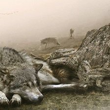 Схема вышивки «Волк и щенок»