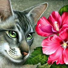 Схема вышивки «Кошка и Цветы»