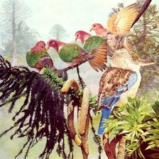 Схема вышивки «Лесные птицы»