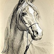 Схема вышивки «белый конь монохром 2»
