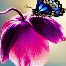 Оригинал схемы вышивки «Бабочка на цветке» (№498660)