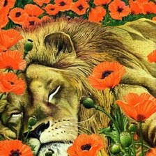 Схема вышивки «спящий лев»