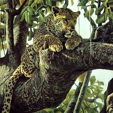Оригинал схемы вышивки «Леопард на дереве» (№501823)