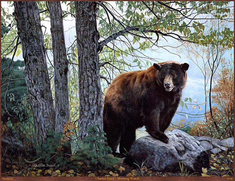 Серия "Медведи" - осень, медведи, животные, пейзаж - оригинал