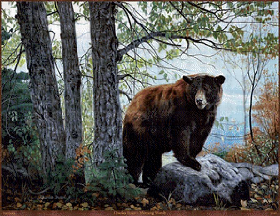 Серия "Медведи" - пейзаж, осень, животные, медведи - предпросмотр