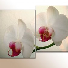 Оригинал схемы вышивки «триптих орхидеи» (№503387)