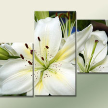 триптих белая лилия