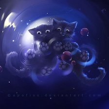 звёздные котята