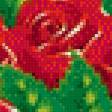 Предпросмотр схемы вышивки «розы» (№506584)