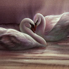 Схема вышивки «Лебеди фото Ли Ли Богл»