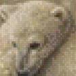 Предпросмотр схемы вышивки «белые медведи» (№508517)