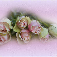 Оригинал схемы вышивки «Розовые розы 2» (№510568)