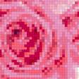 Предпросмотр схемы вышивки «розовые розы» (№510900)