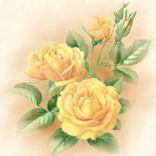 Оригинал схемы вышивки «желтые розы» (№511748)