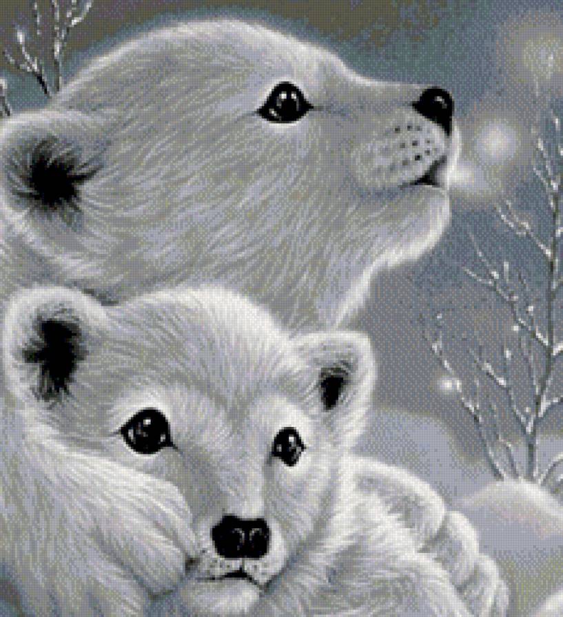 белые медвежата - медведи, зима.животные.звери - предпросмотр
