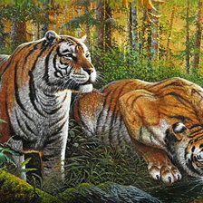 Оригинал схемы вышивки «тигр - символ величия и мощи» (№512618)