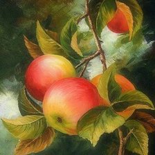Схема вышивки «Яблоки на ветке (живопись Варвара Хармон)»