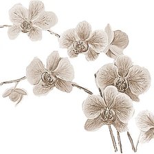 Оригинал схемы вышивки «Орхидеи» (№514941)