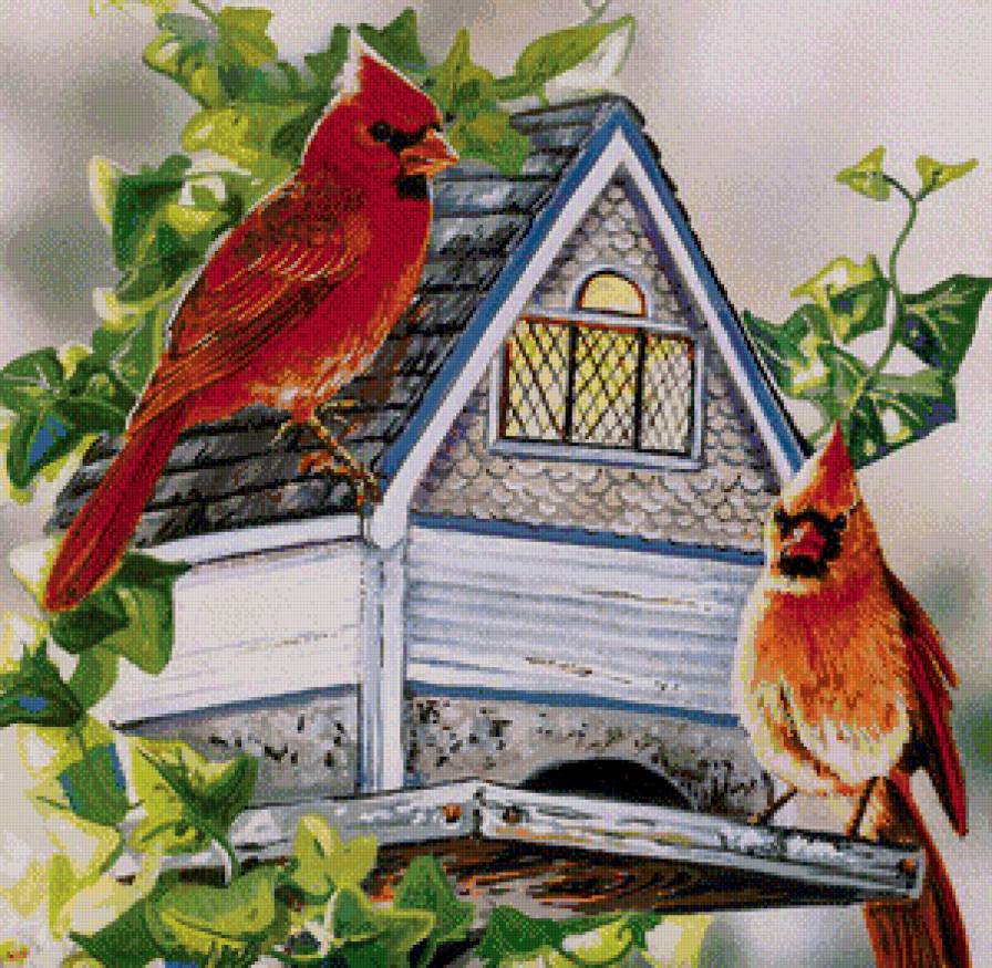 Серия "Птичий домик" - птицы, кардиналы, домик - предпросмотр