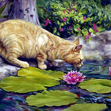 кошка у пруда