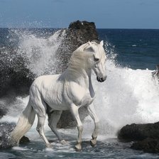 Схема вышивки «Белый конь на берегу»