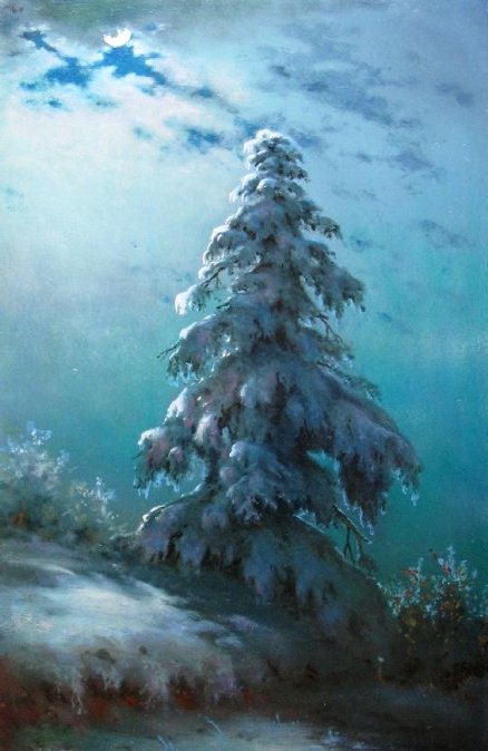 заснеженная ель - зима, лес, елка, снег, дерево, новый год, рождество - оригинал
