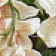 Предпросмотр схемы вышивки «Букет орхидей» (№518934)