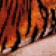 Предпросмотр схемы вышивки «бенгальский тигр» (№519360)
