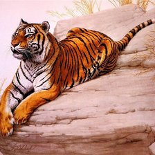 Схема вышивки «бенгальский тигр»