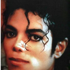 Оригинал схемы вышивки «Майкл Джексон» (№519539)
