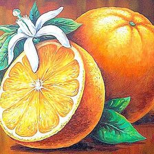 Оригинал схемы вышивки «Апельсины» (№521252)