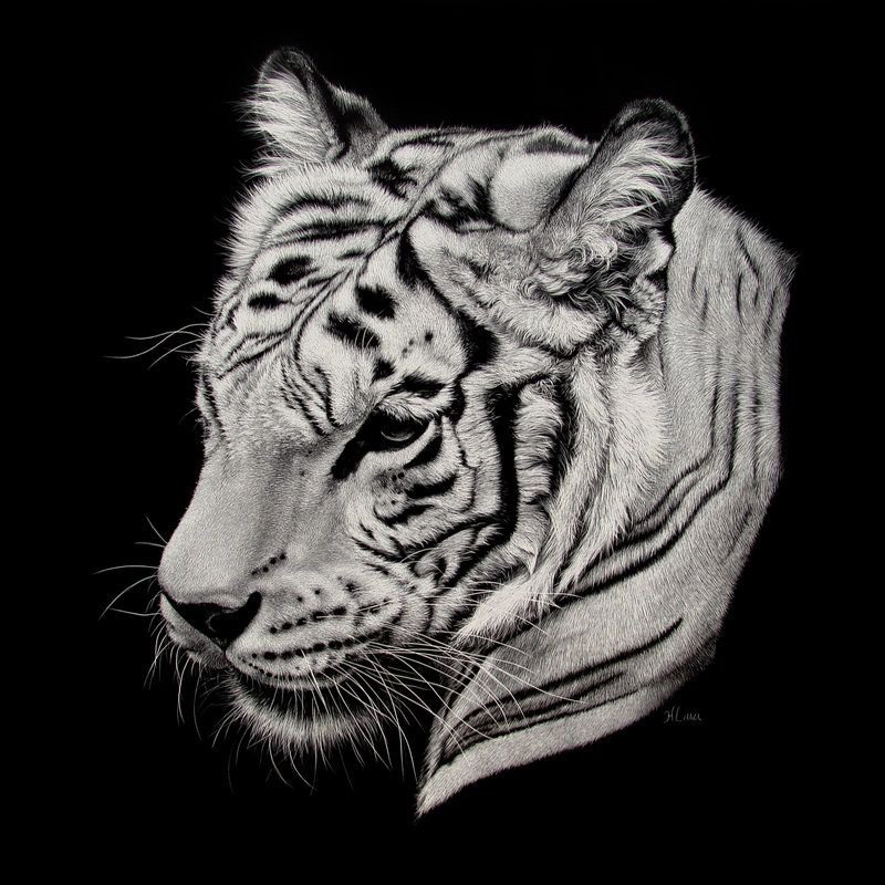 Серия "Белое на черном" - тигры, животные - оригинал