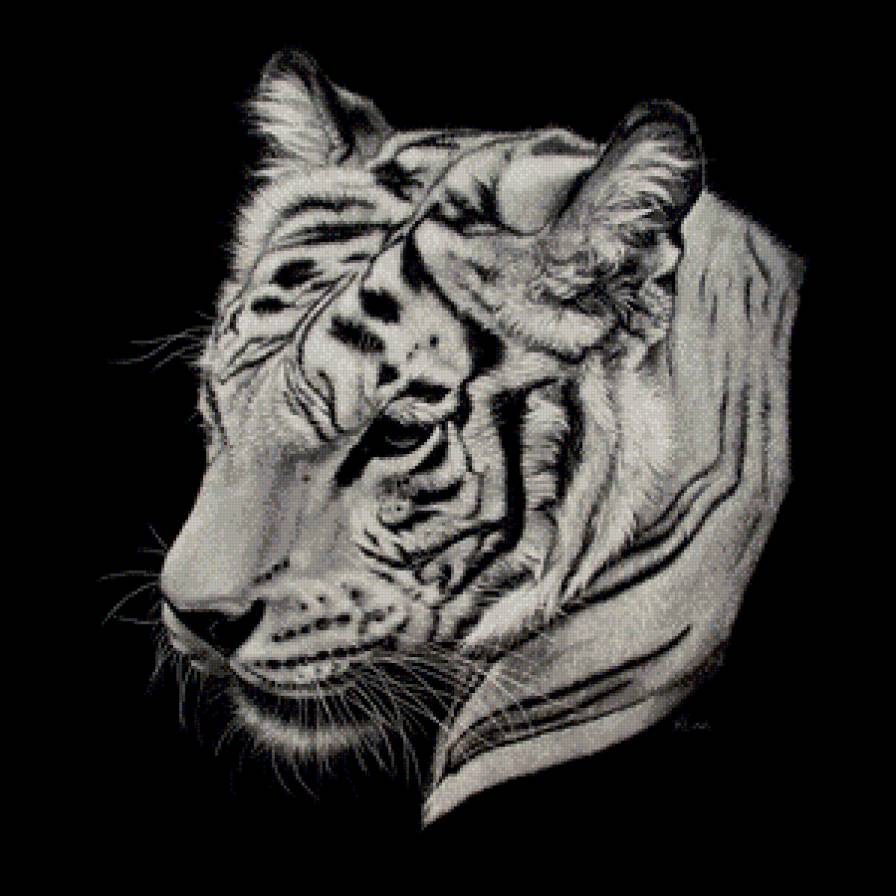 Серия "Белое на черном" - животные, тигры - предпросмотр