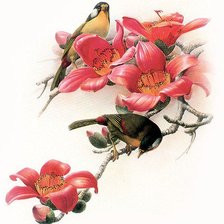 Оригинал схемы вышивки «птицы» (№523657)