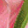 Предпросмотр схемы вышивки «нежные тюльпаны» (№525367)