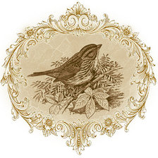 Оригинал схемы вышивки «Птица» (№526895)