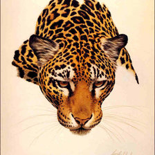 Оригинал схемы вышивки «леопард» (№527832)