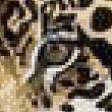Предпросмотр схемы вышивки «леопард» (№527836)