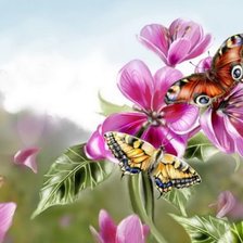 Оригинал схемы вышивки «Бабочка на цветке» (№529272)