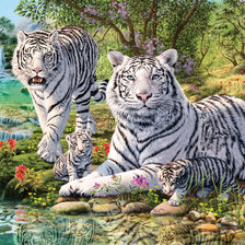 Схема вышивки «белые  тигры»