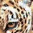 Предпросмотр схемы вышивки «Леопард» (№529934)