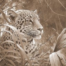 Оригинал схемы вышивки «Леопард в зарослях (живопись)» (№530427)