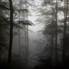 Схема вышивки «Лес. Туман.»
