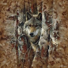 Схема вышивки «ли богл 51 волк»