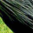 Предпросмотр схемы вышивки «Венценосный журавль.» (№531817)