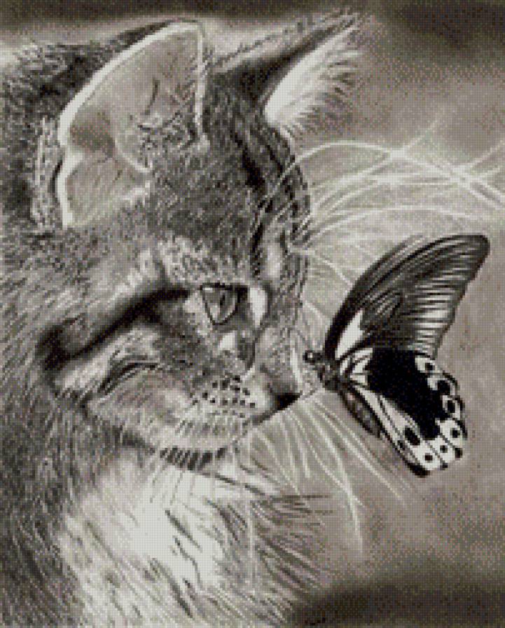 кот и бабочка монохром - любимцы, домашние жывотные, бабочка, чорнобелое, монохром, кот - предпросмотр