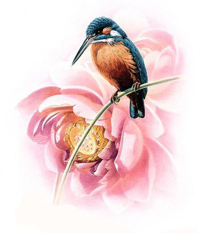 птичка и пион - серия птицы, цветы, птицы, цветок, птичка, природа - оригинал